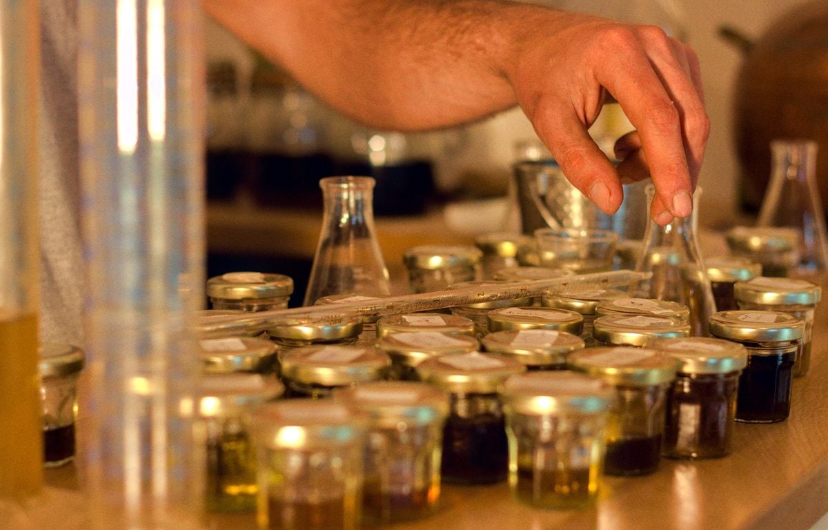 Pastis : « Je bois la garrigue, là »... On a visité une distillerie artisanale à l'ombre de la Sainte-Victoire