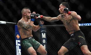 La légalisation du MMA se fera sous l'égide de la boxe