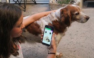 Votre animal est perdu ? L'application doit permettre de lancer une alerte en moins de deux minutes