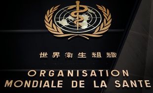 Des experts indépendants seront chargés d'évaluer la gestion de l'épidémie par l'OMS.
