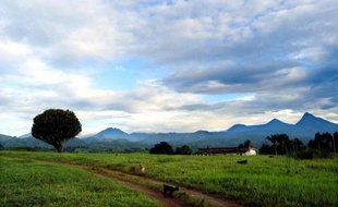 Le parc national des Virunga