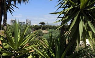 Une vue partielle du parc de Horch Beyrouth, le 21 mai 2015 au Liban