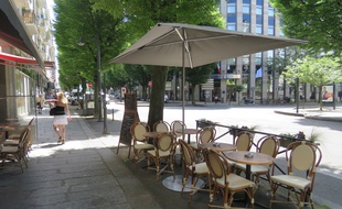 L'abattage des arbres de l'avenue Janvier doit permettre d'agrandir les terrasses.