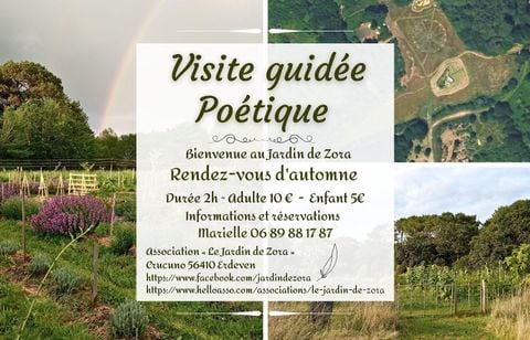 Morbihan : Que faire cette semaine ? (du 13 octobre au 19 octobre 2025)
