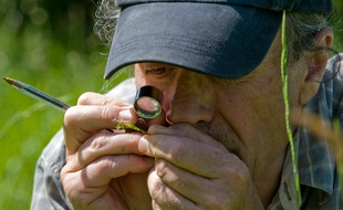 Le conservateur des Herbiers universitaires de Clermont-Ferrand Gilles Thébaud examine une plante à Mazaye, centre de la France le 8 juillet 2016
