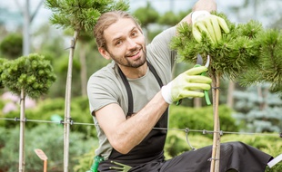 Si le jardinage est un plaisir pour certains, c'est aussi une corvée pour d'autres. Heureusement, les petits travaux de jardin sont éligibles à un crédit d'impôts de 50 %.
