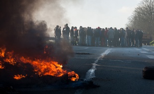 Manifestation d'éleveurs, ici près de Guingamp, le 22 janvier 2016.