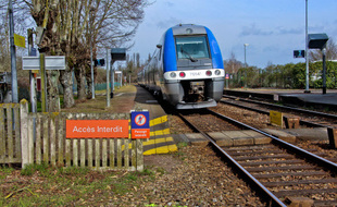 Un train TER
