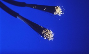 Un câble de fibre optique.