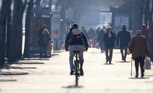 Les cyclistes marseillais n'ont pas fini de slalomer entre les voitures.