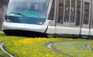 La Communauté urbaine de Strasbourg (CUS) a lancé un projet de tramway sur pneus qui alimente une vive polémique, ses adversaires l'accusant d'avoir choisi sans véritable concertation un mode de transport dont rien ne démontrerait qu'il soit le plus adapté.