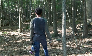 It comes at night de Trey Edwards Shults