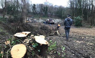 Plus de 650 arbres ont été abattu sur la forêt de la Corniche des Forts à Romainville dans le cadre d'un projet de base de loisir financé par la région Ile-de-France
