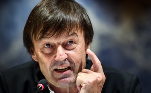 Nicolas Hulot le 30 novembre dernier dans les locaux des Nations Unies à Genève.