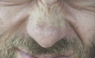 Illustration d'un nez.