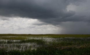 Le vent va souffler dans le sud de la France