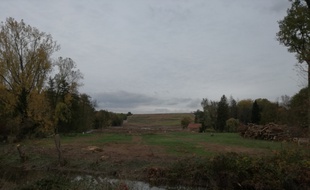 De nombreux arbres ont déjà été coupés sur le tracé du projet autoroutier du GCO, comme ici sur le site de l'ancienne Zad de Kolbsheim. Illustration