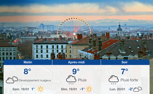 Météo Lyon: Prévisions du vendredi 17 janvier 2020