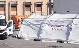Au CHU de Montpellier, au mois de mars (Archives)