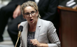 Douze ONG environnementales ont demandé lundi à la ministre de l'Ecologie, Delphine Batho, de clarifier les modalités du débat sur la transition énergétique qui doit s'ouvrir en novembre, menaçant de "se désolidariser" du processus si elles n'étaient pas suffisamment associées.
