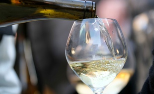 Apprécié des jeunes palais en raison de leur teneur en sucre assez élevée, les vins blancs moelleux et liquoreux sont parfois difficile à différencier.