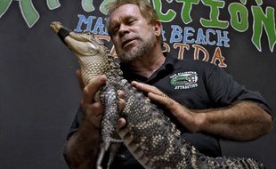 Bob Barrett, créateur de "The Alligator attraction", le 26 septembre 2012.