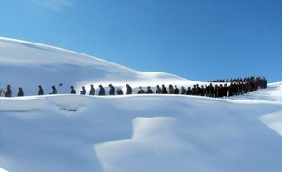 Quelque 50 personnes sont mortes et 145 sont portées disparues, "présumées mortes", emportées par une avalanche dans le Badakhshan, une province du nord-est de l'Afghanistan montagneuse et enclavée, soumis à un hiver exceptionnellement rude, a annoncé l'ONU samedi.