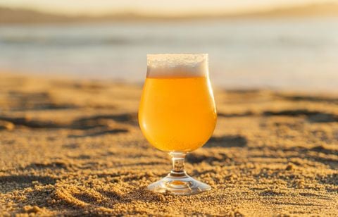 Fruitées et moins amères, les bières aromatisées tentent leur chance