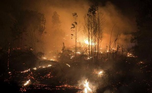 Les pompiers sont parvenus à contrôler un incendie qui a brûlé 1.850 hectares en Galice, dans le nord de l'Espagne, ont annoncé vendredi les autorités régionales qui s'inquiétaient d'autres feux dans cette région particulièrement touchée depuis plusieurs jours.