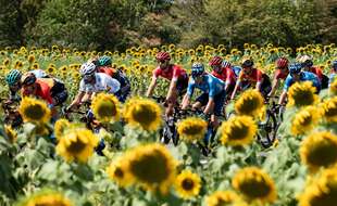 Tout va bien à la veille du Tour de France