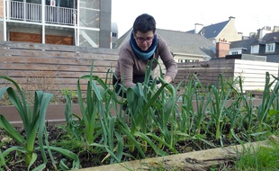 On pourra bientôt faire pousser des poireaux en plein cœur de ville à Rennes, comme ici sur la terrasse de la Maison de la consommation et de l'environnement