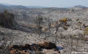 Plus de 10 hectares sont partis en fumée du côté de Trèbes.