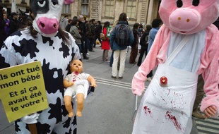 Des participants à la Veggie Pride, le 15 mai 2010, à Lyon.