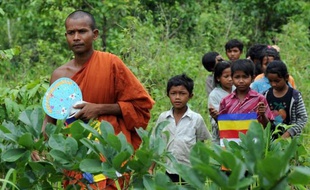 Frustrés par l'inaction du pouvoir cambodgien, des patrouilleurs-citoyens en colère après le meurtre du plus célèbre d'entre eux risquent leur vie pour lutter contre le trafic de bois qui décime les forêts du pays.