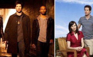 Dark Blue, sur TNT et Royal Pains, sur USA