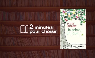 « Un arbre, un jour... » par Karine Lambert chez Calmann-Lévy (17,50€, 220 p.).