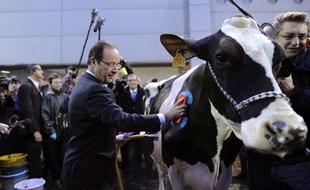 François Hollande, le 28 février 2012, au salon de l'Agriculture.