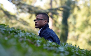 Le défenseur des Bleus Patrice Evra le 7 septembre 2013.
