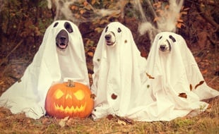Les meilleurs déguisements d'Halloween 2018