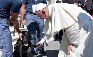 Léo, un labrador qui a participé aux recherches des survivants du tremblement de terre en Italie a été reçu par le pape.