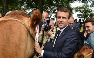 Emmanuel Macron au lycée agricole des Vaseix à Verneuil-sur-Vienne, le 9 juin 2017.