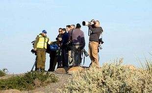 Depuis le 5 novembre 2008, les autorités israéliennes empêchent les photographes internationaux de pénétrer dans la «zone militaire» de la bande de Gaza. Seuls sont autorisés les reporters habitant le territoire occupé.
Conséquence directe de ce blocus, les images réalisées et contrôlées par les deux camps manquent cruellement de diversité.
Bilan iconographique de deux camps qui s'affrontent...