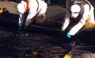 Opération de ramassage en mer de la pollution du navire «Grande America».