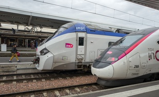 Deux trains à quai dans la gare de Toulouse (illustration).