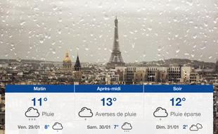 Météo Paris: Prévisions du jeudi 28 janvier 2021
