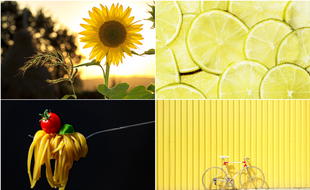 la vie en jaune.