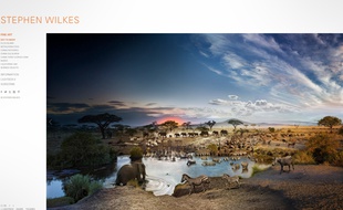 Capture d'écran du site du photographe Stephen Wilkes, qui a immortalisé une journée au parc Serengeti, en Tanzanie, en une image «composite».