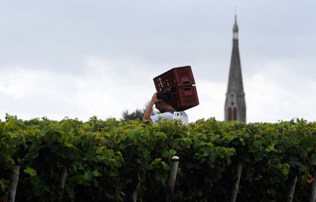 Gironde : Un grand cru de Margaux vendu à un milliardaire américain