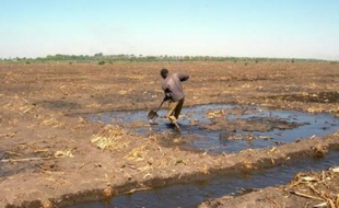 Sécheresse, changement climatique et utilisation de l'eau par l'homme font rétrécir le lac Tchad qui fait l'objet d'un forum international de vendredi à dimanche à N'Djamena rassemblant des dizaines de dirigeants, experts et spécialistes de l'environnement.