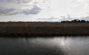 Des rizières à proximité de la centrale nucléaire de Fukushima, le 23 mars 2011